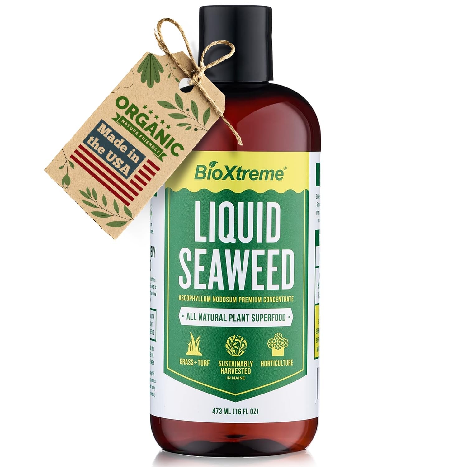 Bioxtreme Liquid Seaweed Premium Concentrate - All Natural Kelp Fertilizer - Enhances Plant & Flower Growth + Seed Germination & Root Development - 16 Oz