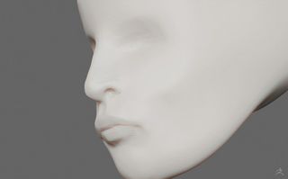 Using the Clay brush to start adding details to the nose and lips