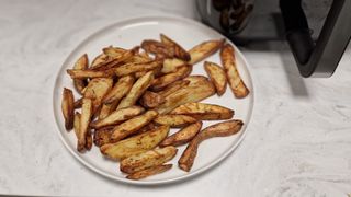 Homemade fries made in the Instant Vortex Plus air fryer