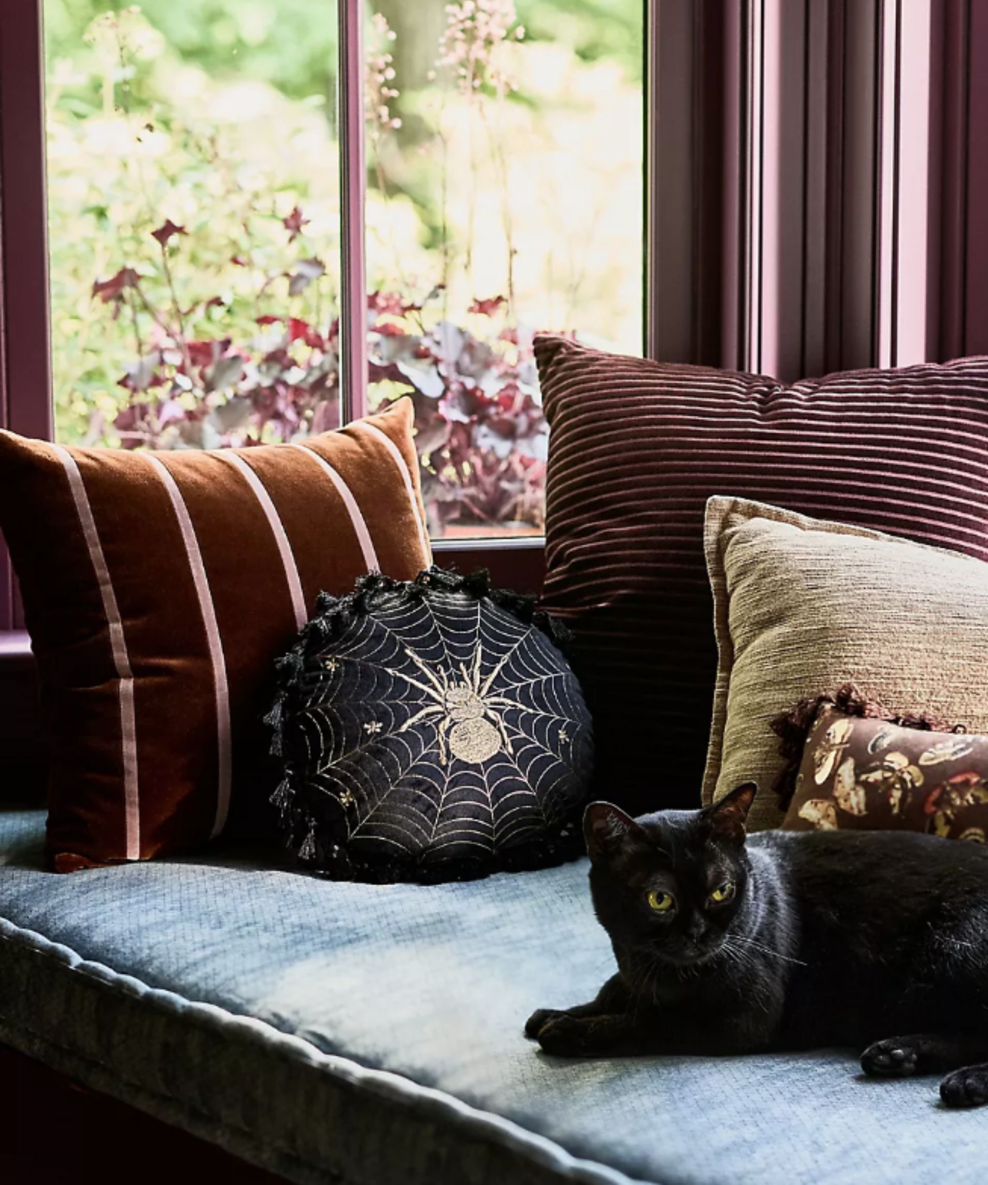 Sofa with rich brown and burgundy cushions and a black cat on it
