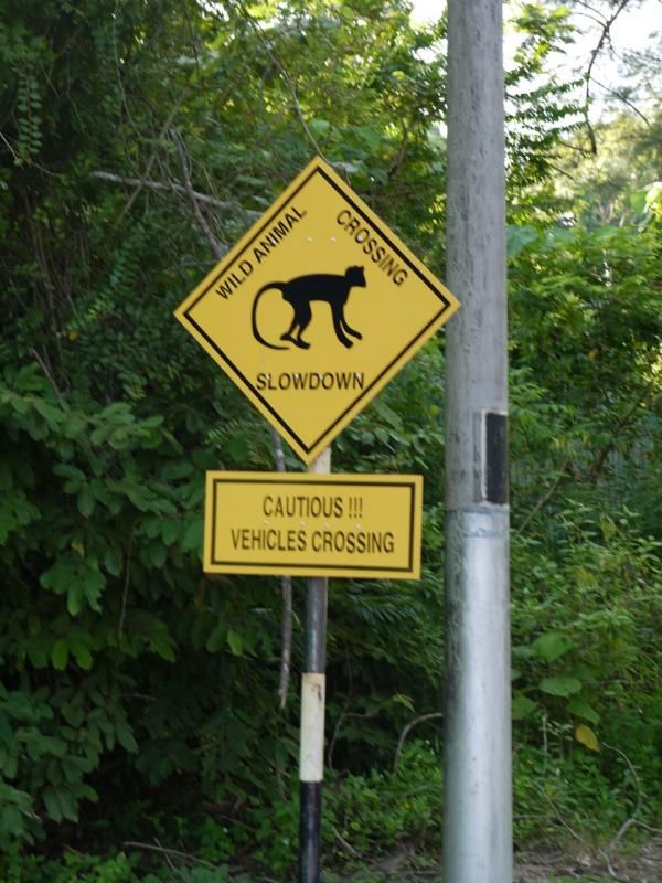 Local road signs in Langkawi