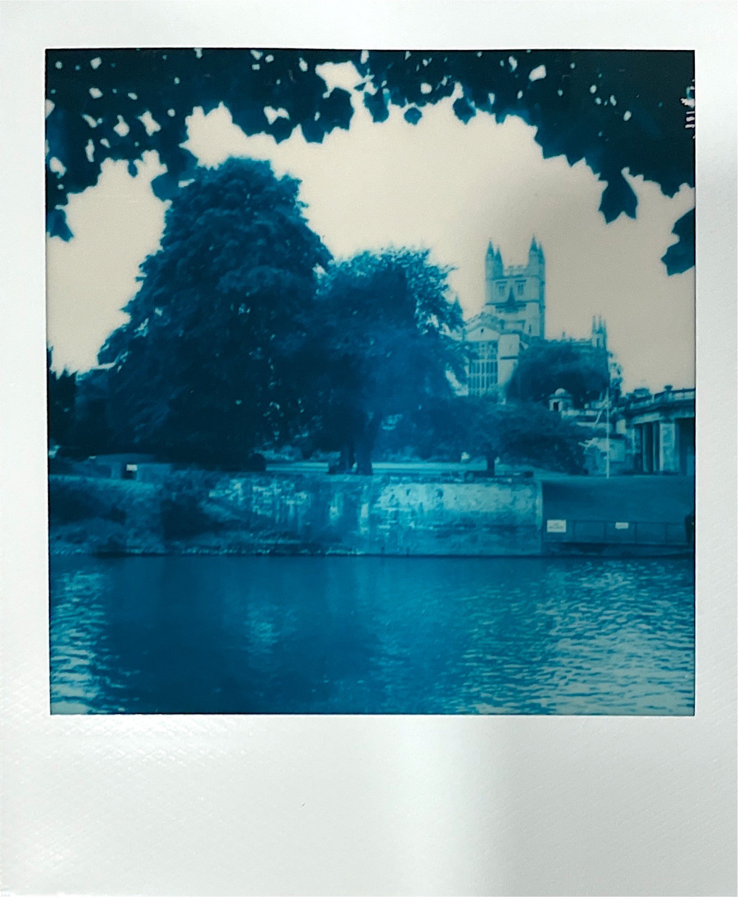 The Blue 600 film is ghostly and reminiscent of a cyanotype