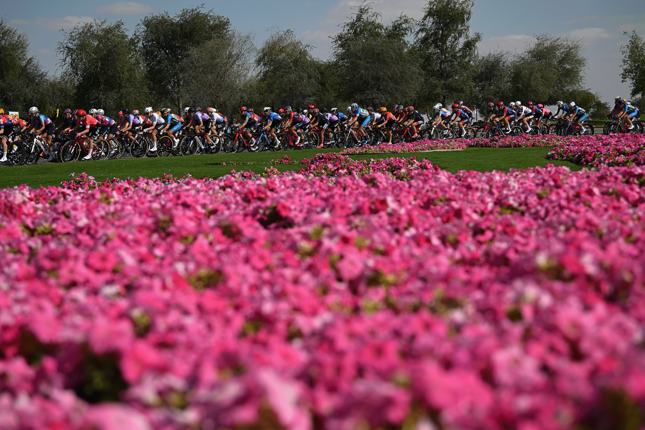 The peloton on stage 1 of the UAE Tour Women