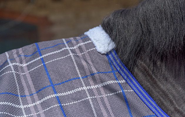 Premier Equine Buster Zero Turnout Rug review