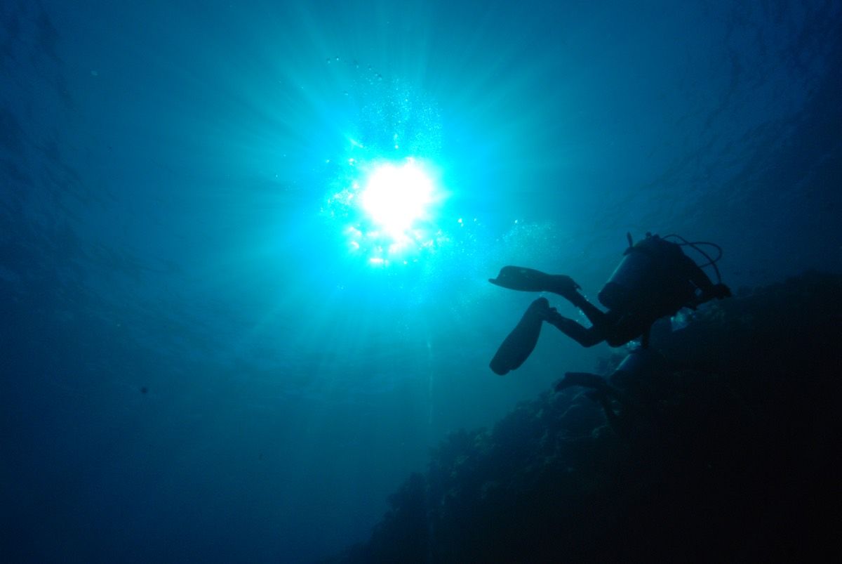 Divers explore a coral wall in this dim, blue world called the mesophotic zone.