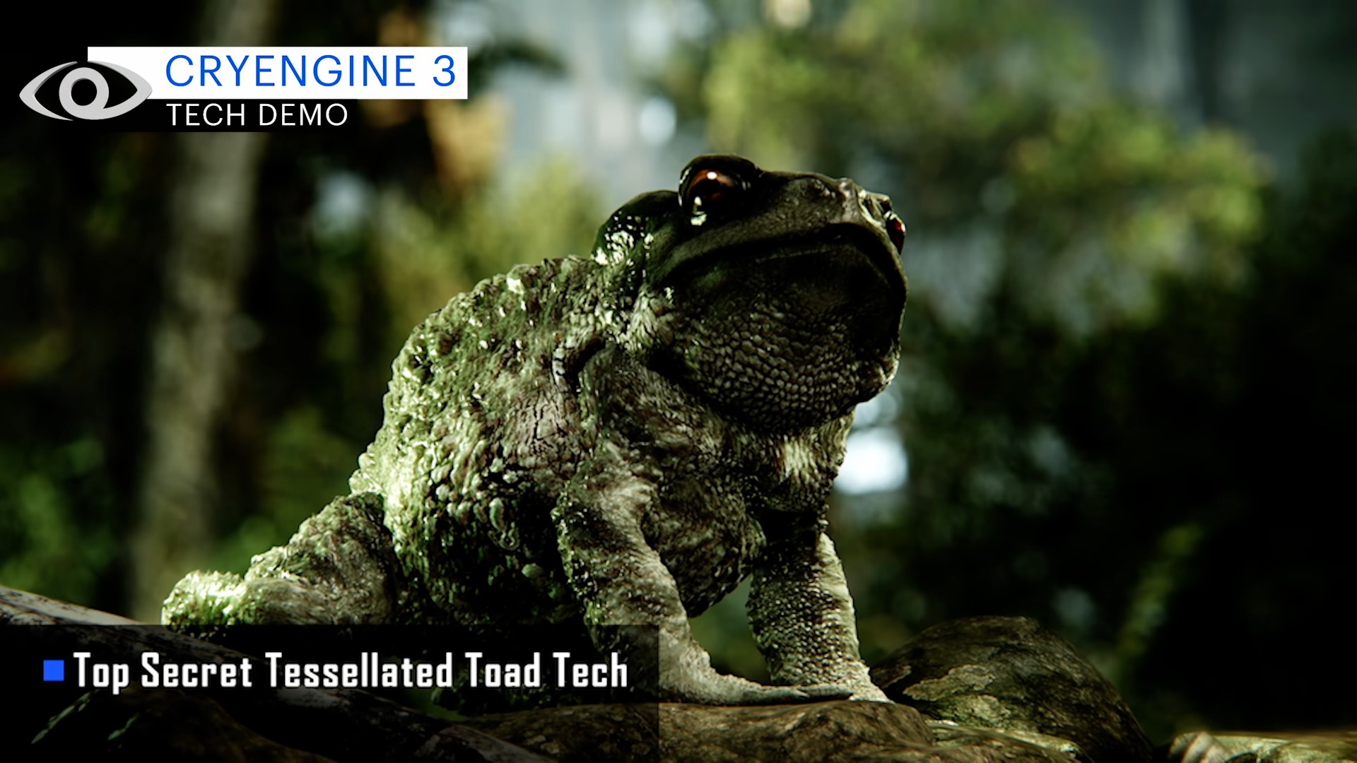 Crysis 3 top secret tessellated toad tech
