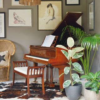 a baby grand piano and tall plants in a corner of a room with warm mocha-coloured walls and a gallery wall