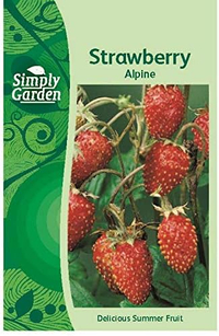 Simply Garden Strawberry Alpine Fresh Fruit Seeds | £2.99 at Amazon