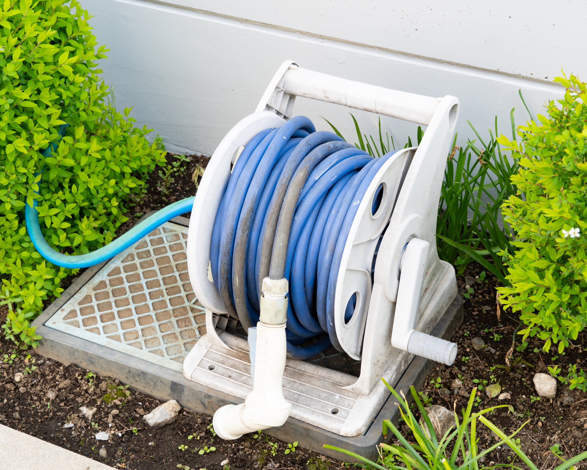 hose on reel next to bushes