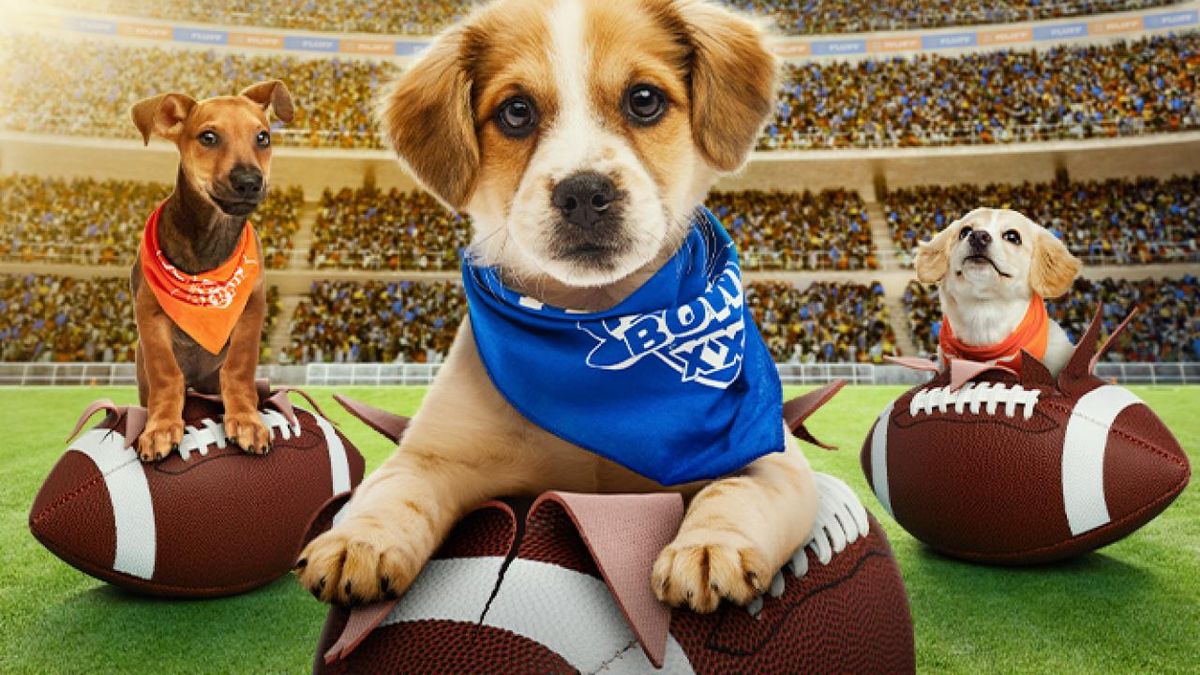How to watch Puppy Bowl 2026 online and stream from anywhere — date, TV channels, Super Bowl for dogs