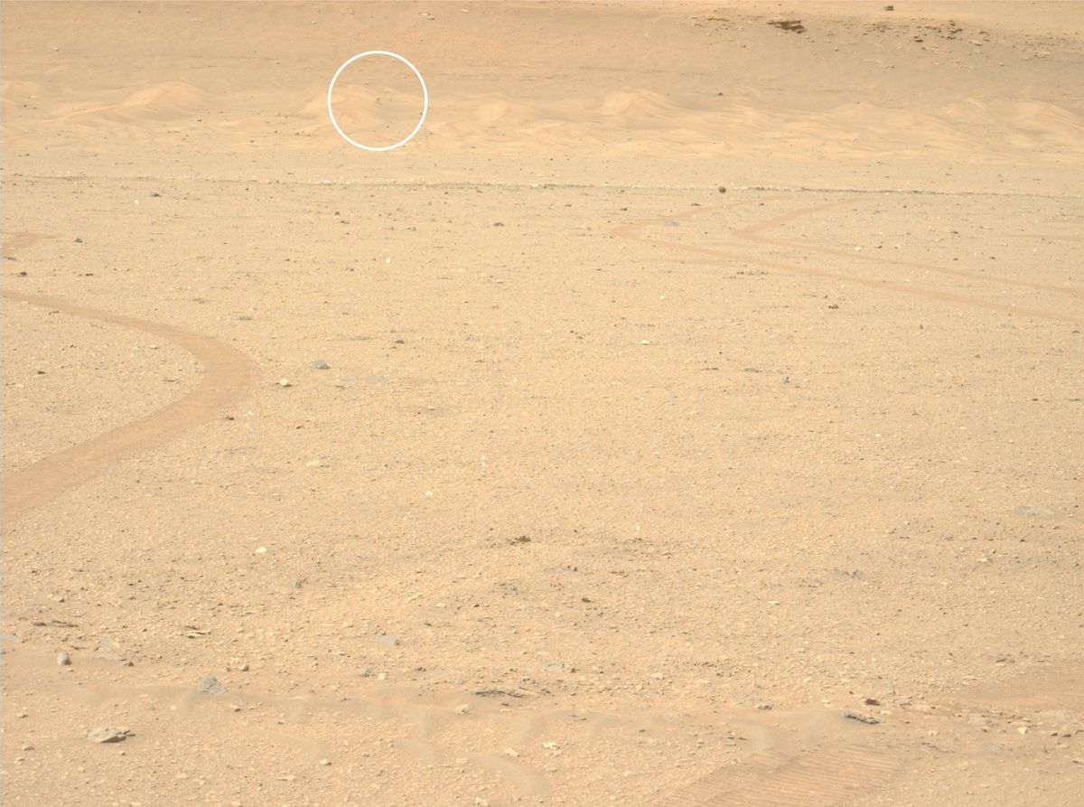 O rover Perseverance avista um helicóptero ágil nas dunas