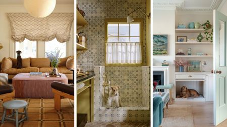 a collage of three dog images in stylish homes