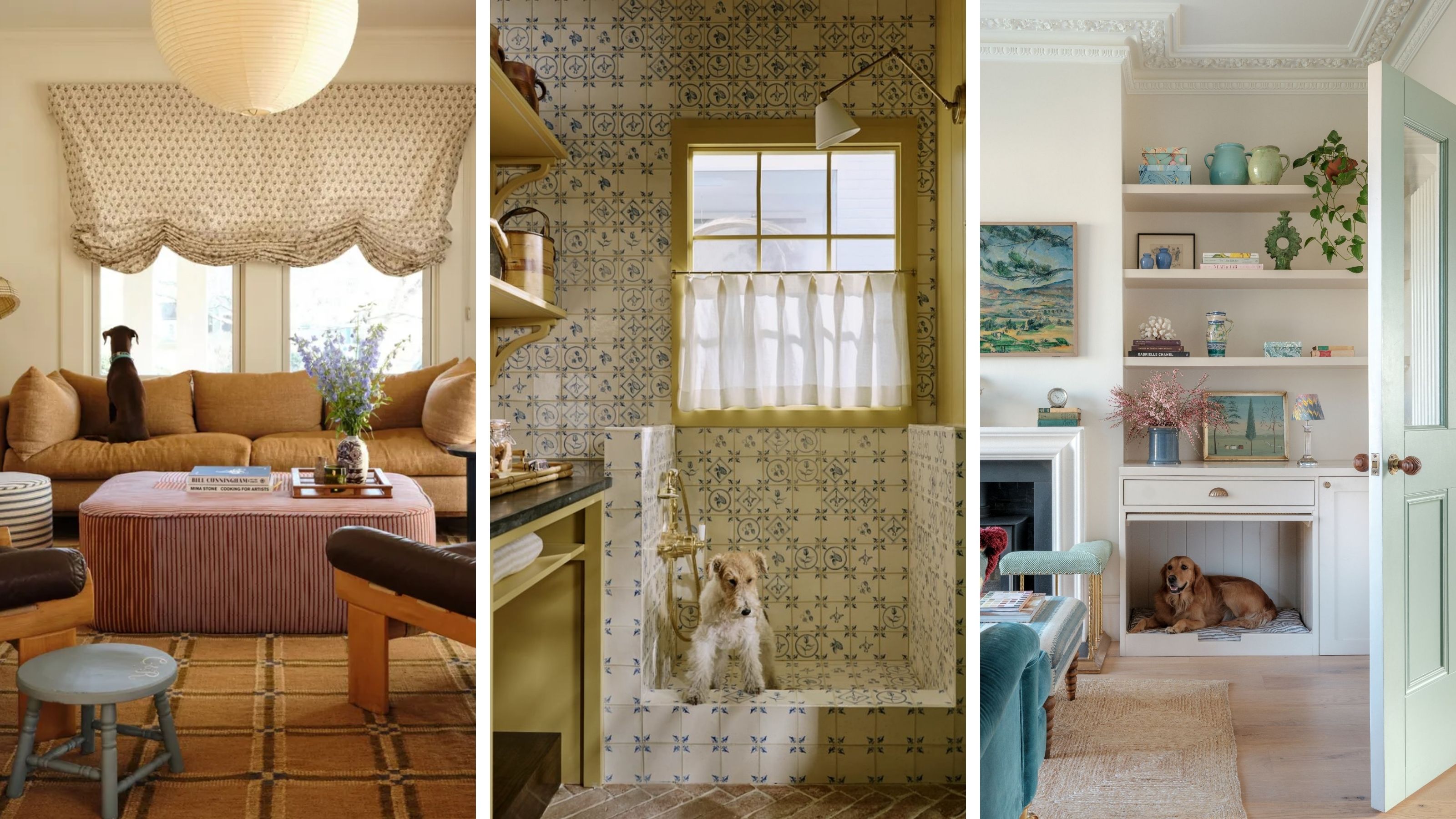 a collage of three dog images in stylish homes