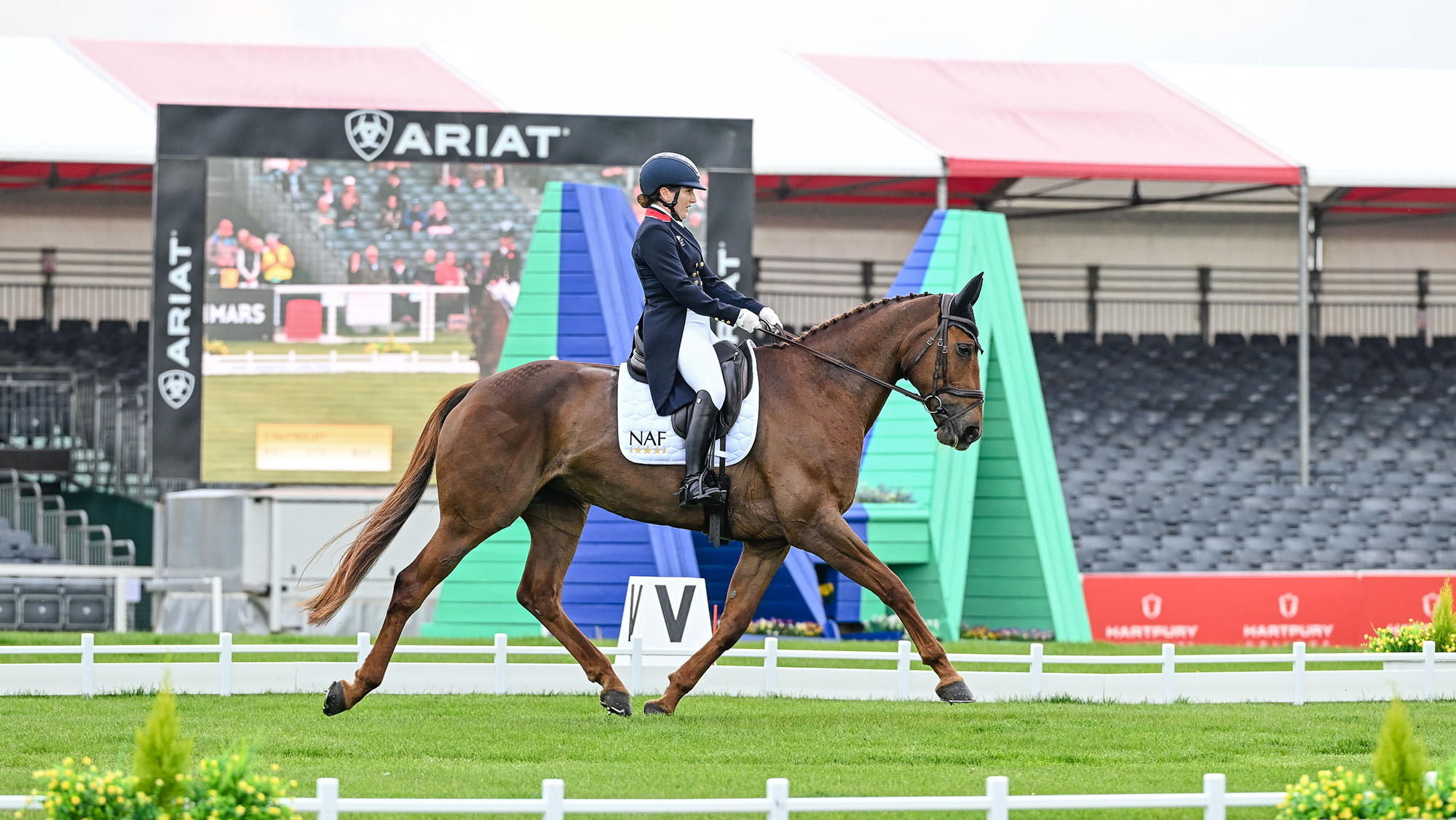 Laura Collet sits astride a dark chestnut mare called Bling as they trot across the Badminton Horse Trials dressage arena with a cross-country jump and the big screen in the background