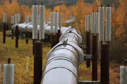 The Trans Alaska Pipeline System