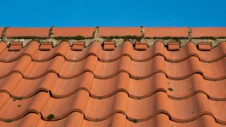 clay pantile roof in Norfolk