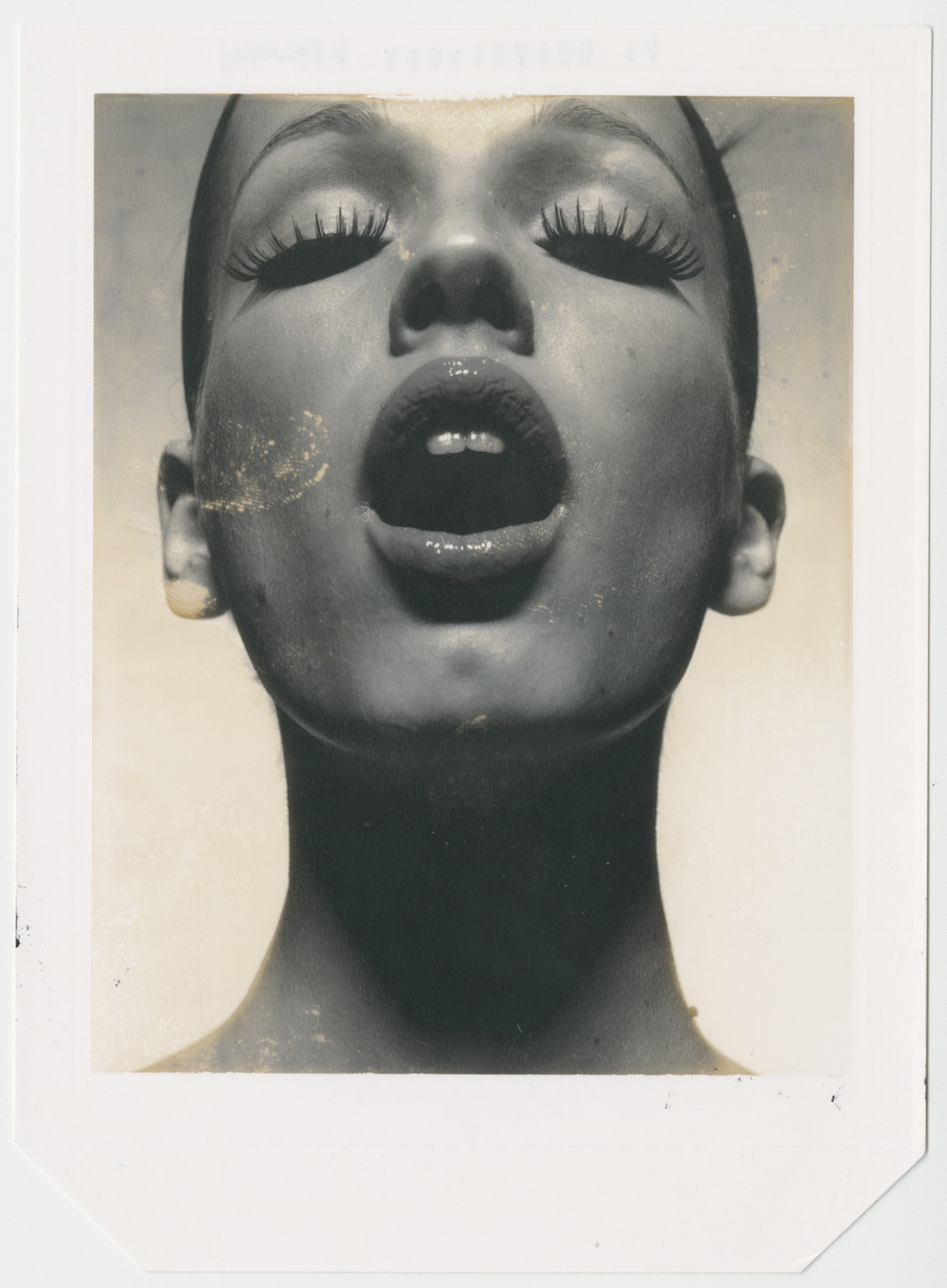 Donna Trope Polaroid