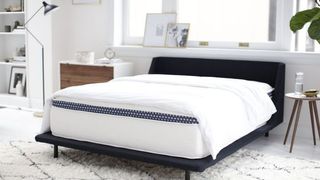 The WinkBed Mattress shown on a dark navy bed frame and placed next to bedside cabinets and houseplants