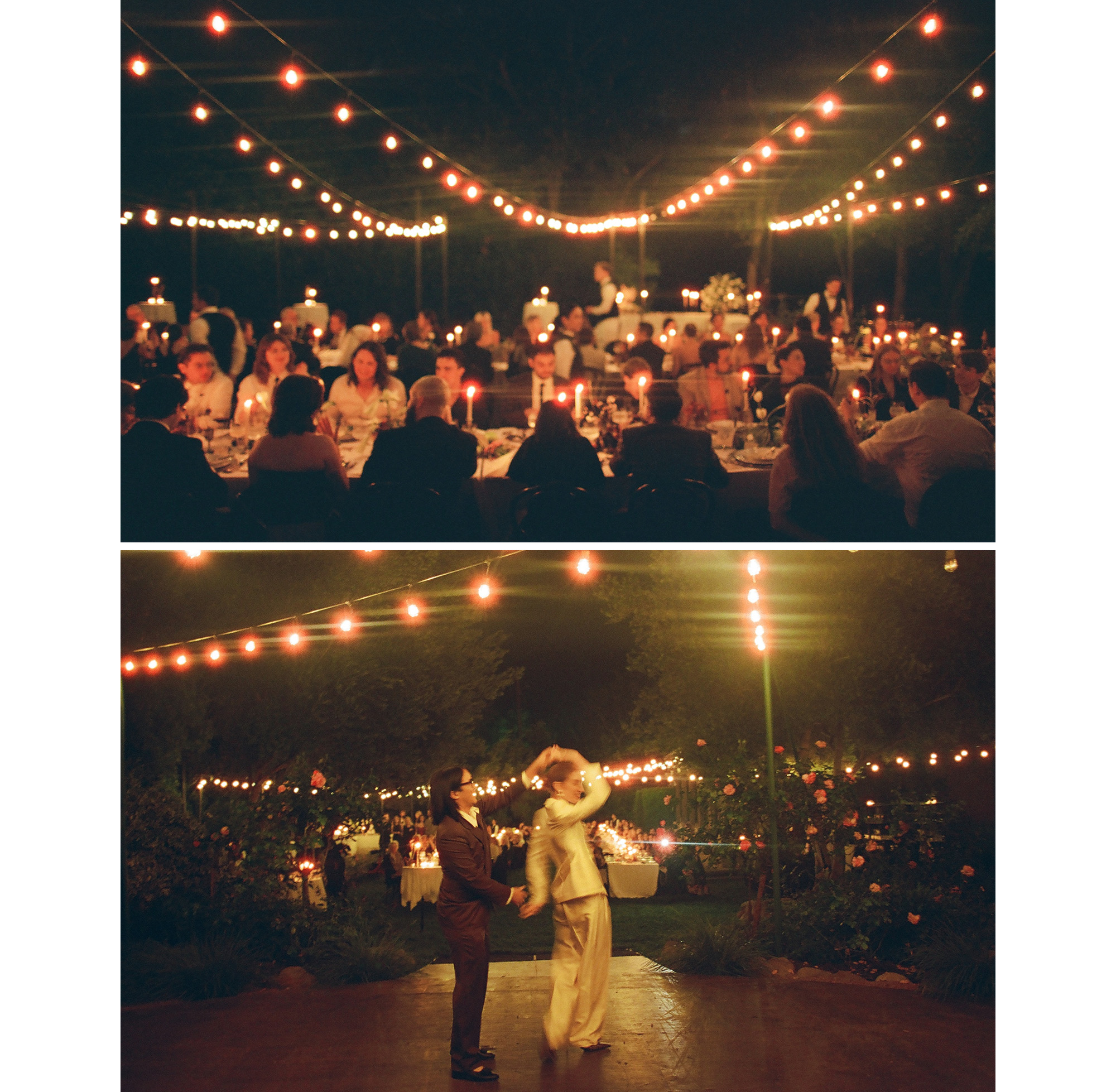 image from sophia and mik's wedding reception.