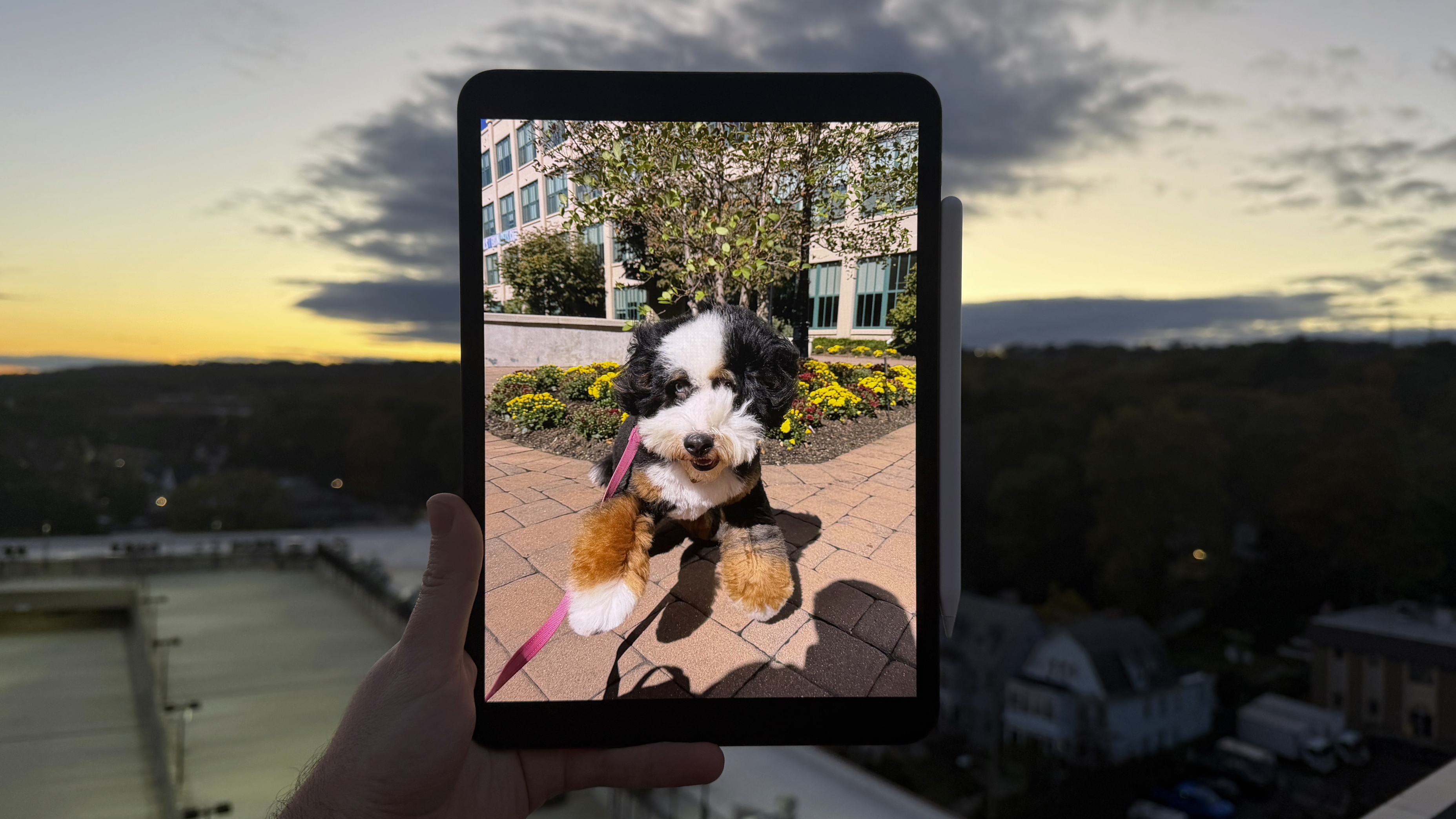 Apple 11-inch iPad Pro M5 2025 review