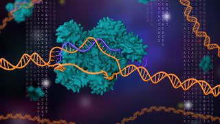 3d illustration of a Cas enzyme, part of the CRISPR system, cutting through a length of DNA
