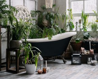 Bohemian bathroom with lots of potted greenery