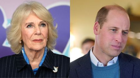 Queen Camilla’s crown could play an important part in future. Seen here are Queen Camilla and Prince William at different occasions