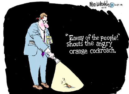 Political cartoon U.S. Trump press enemy of the people