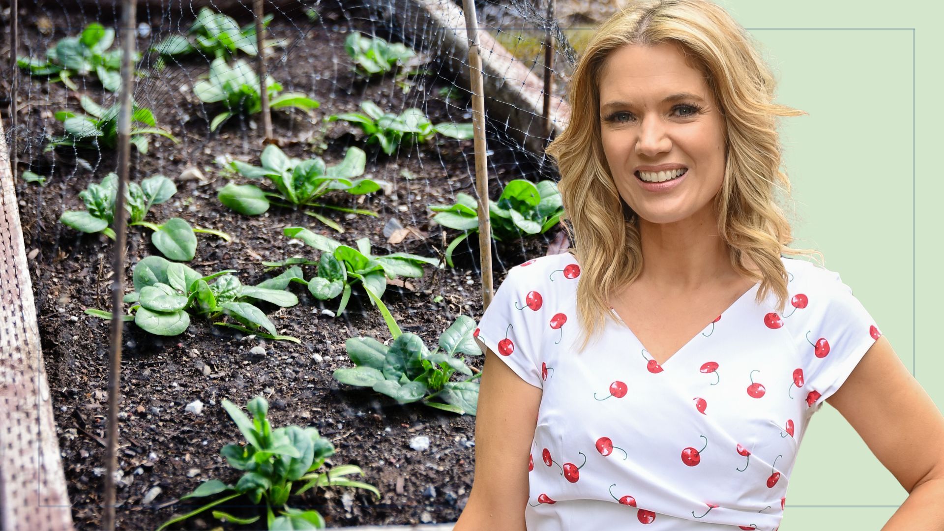  picture of spinach growing in raised bed and a cut out of Charlotte Hawkins