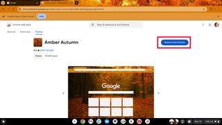 Google Chrome themes