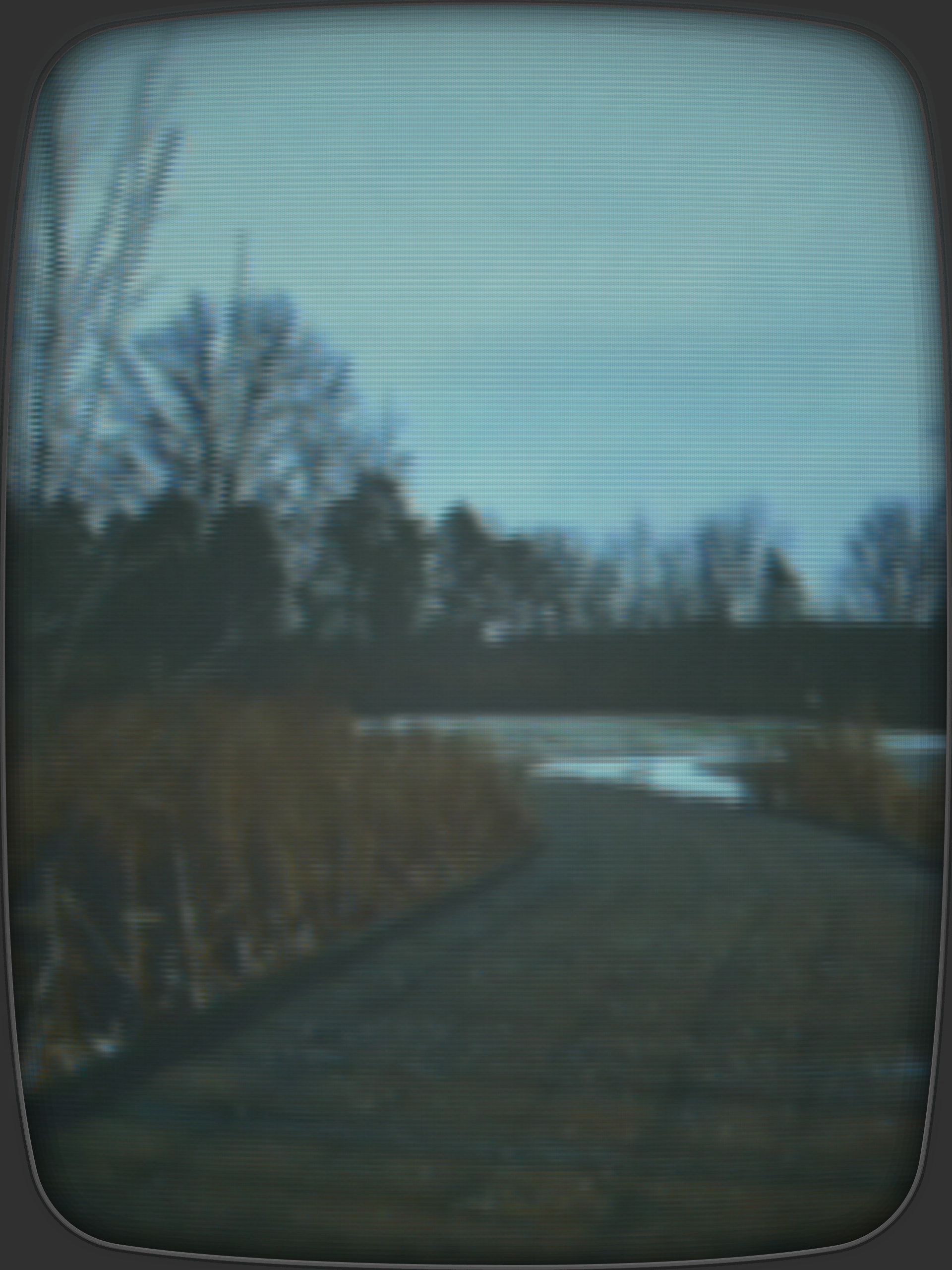 A photo taken with the Fujifilm Instax Mini Eco Cinema decade camera