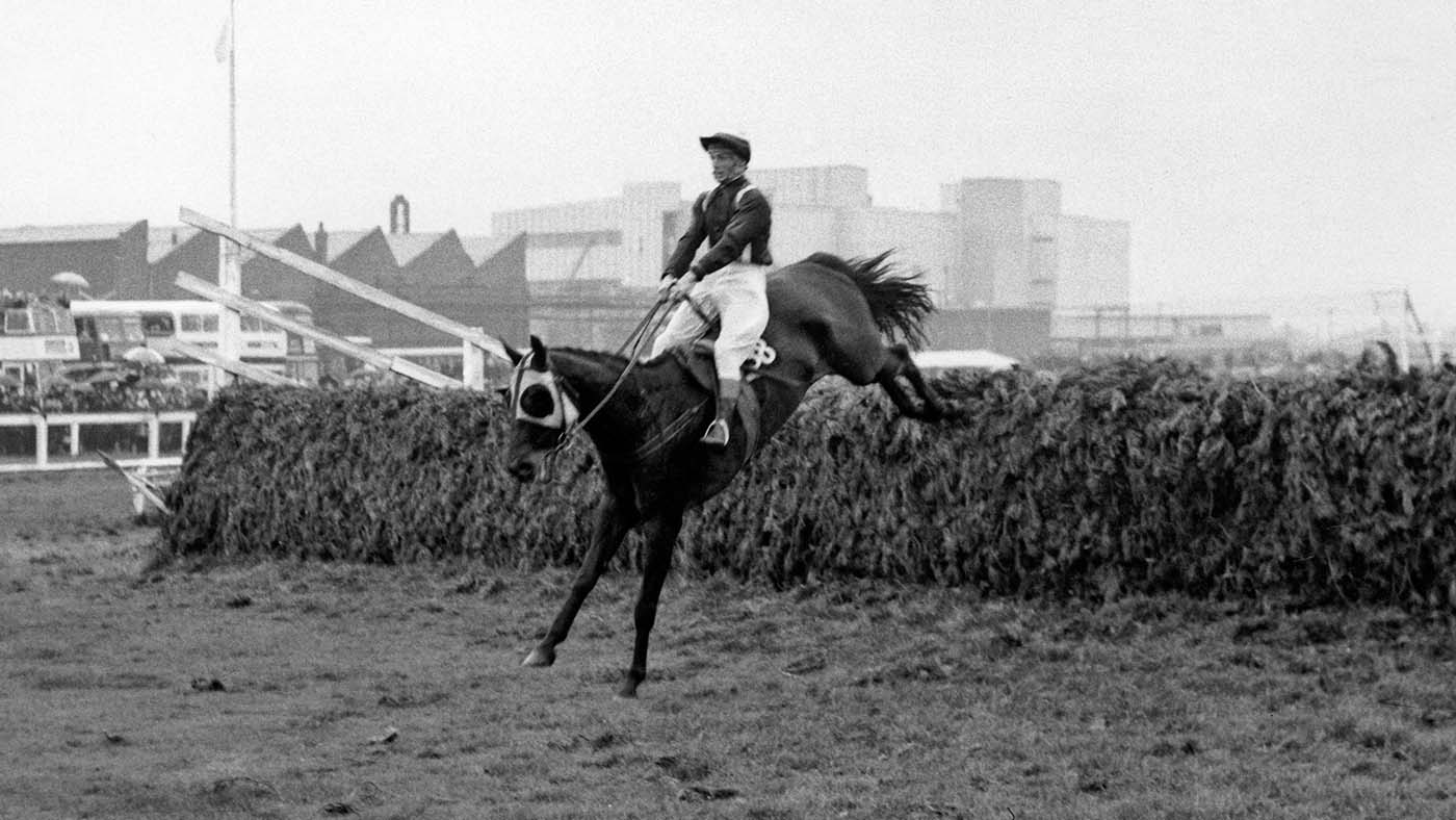 Foinavon Wins Grand National