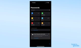 A screenshot showing what the Apple Passwords app looks like on mobile