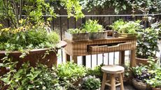 Vintage planters on a wooden desk next to large pots and planters on a city balcony
