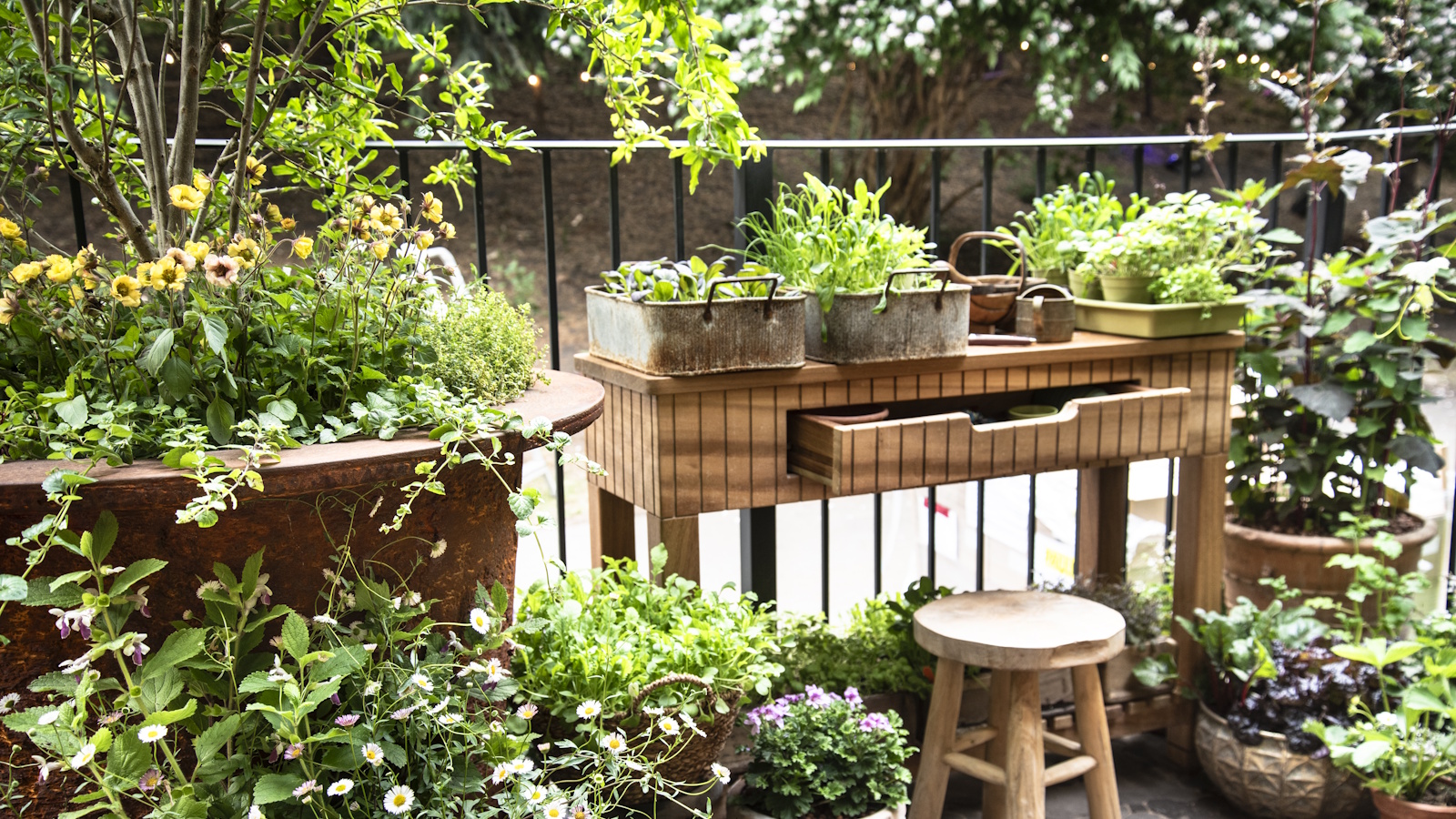 Vintage planters on a wooden desk next to large pots and planters on a city balcony