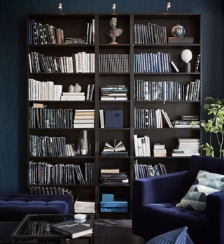 living area with blue wall and blue sof and book case