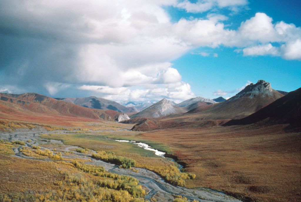 The Arctic National Wildlife Refuge.