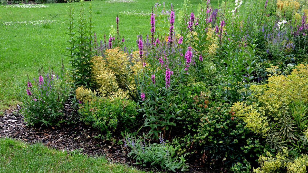 8 plantes à pailler en septembre pour les protéger pendant l'hiver