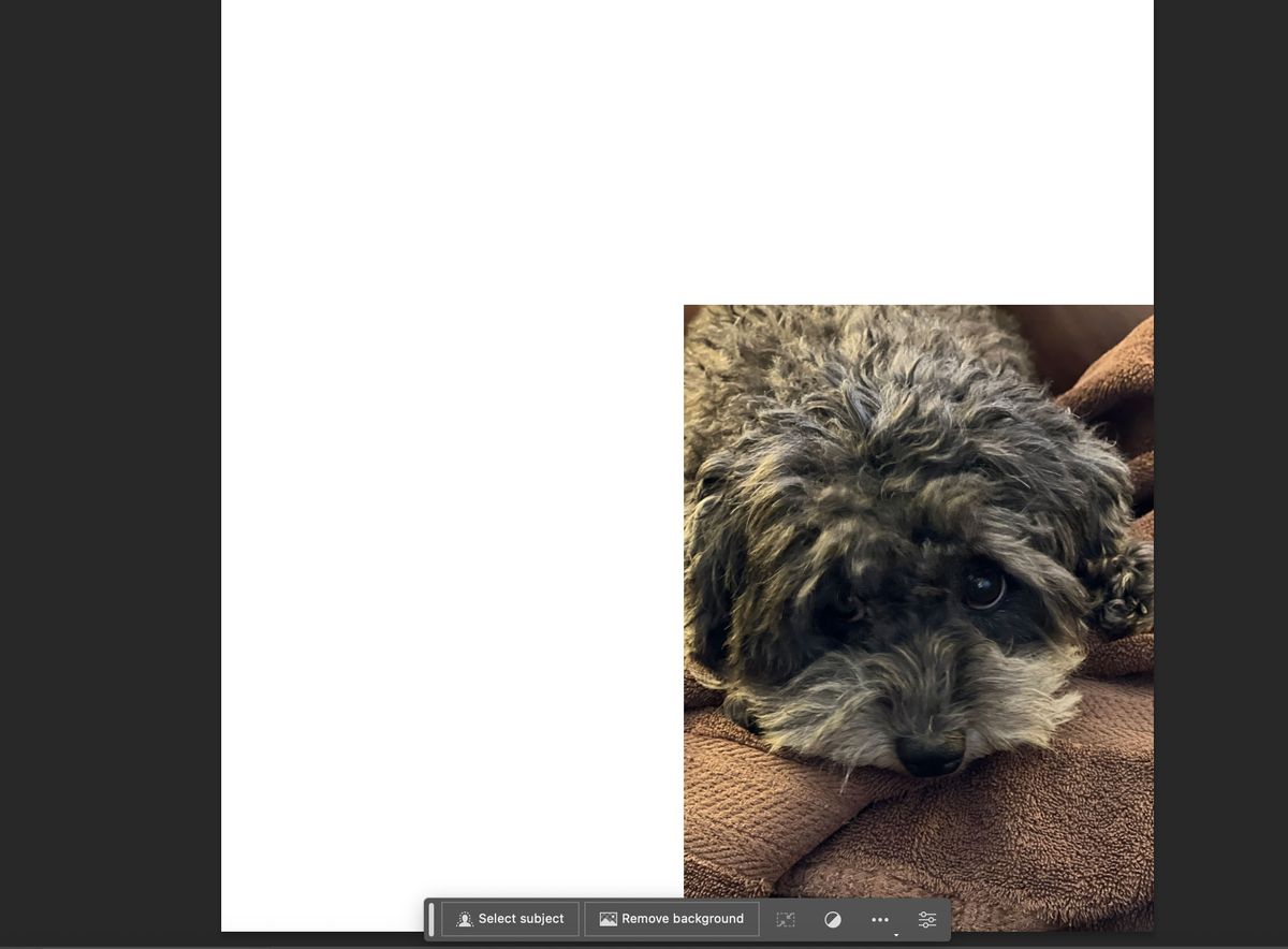 Adobe Photoshop Generative AI