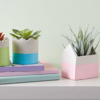 clay succulent planters