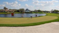 A general view of Bay Hill's 18th hole as Viktor Hovland picks his golf ball out of the hole in 2025