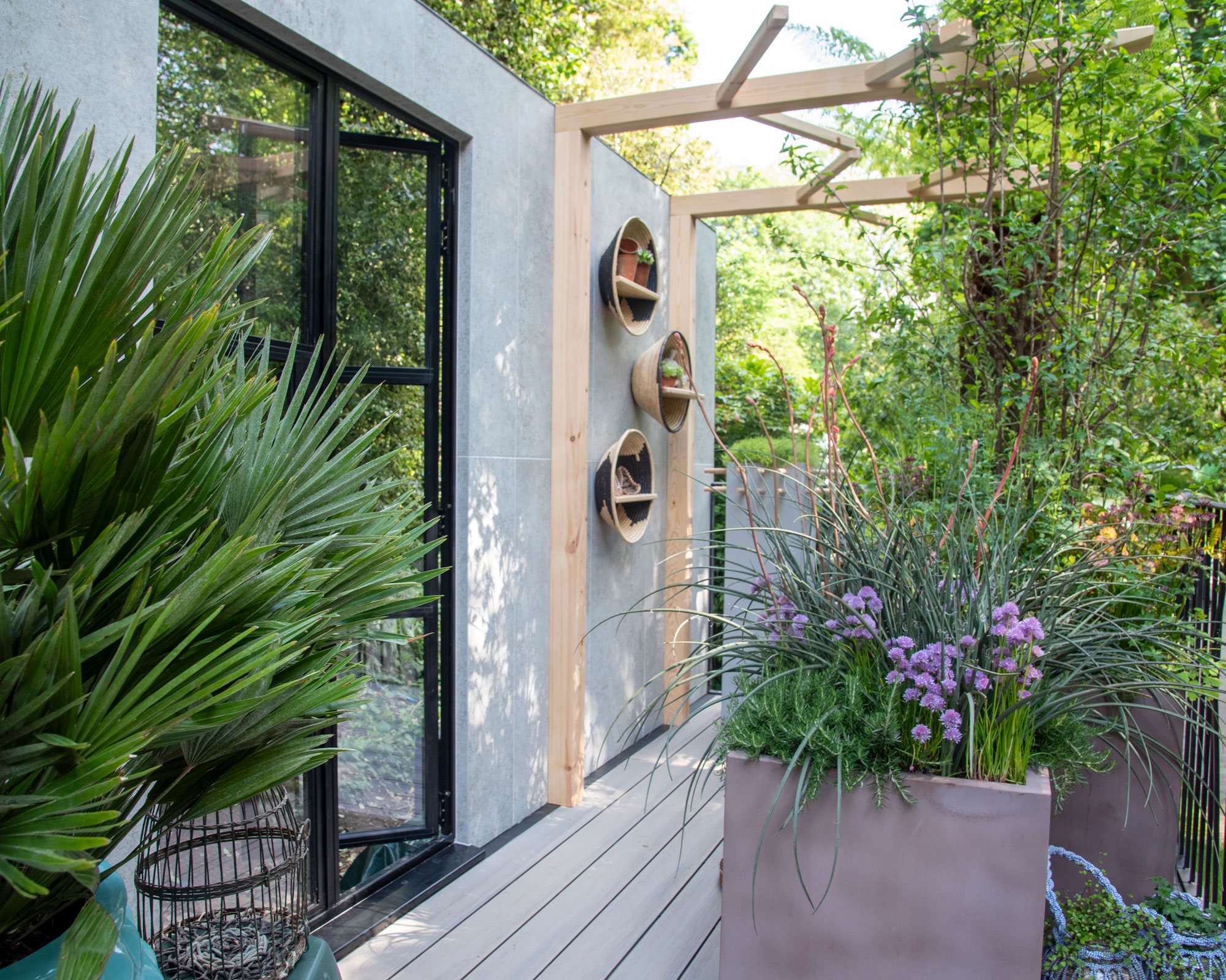 balcony garden with containers filled with flowers and airy screening plants