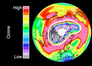 color-coded map of Earth&#039;s north polar region showing low ozone in the stratosphere