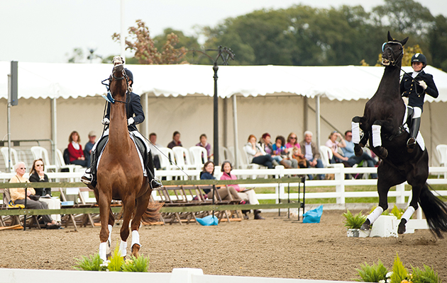 Eveyone's up in the air during the presentation for the Dobson&amp;amp;Horrell Novice Open Championship - Dressage Deluxe National Dressage Championships, Stoneleigh, Warwickshire, United Kingdom - 16 September 2011