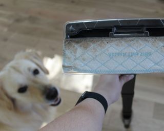 Underside of Eufy HomeVac H30 vacuum mop with golden retriever dog in background