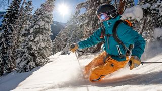 A man skis downhill on a sunny day