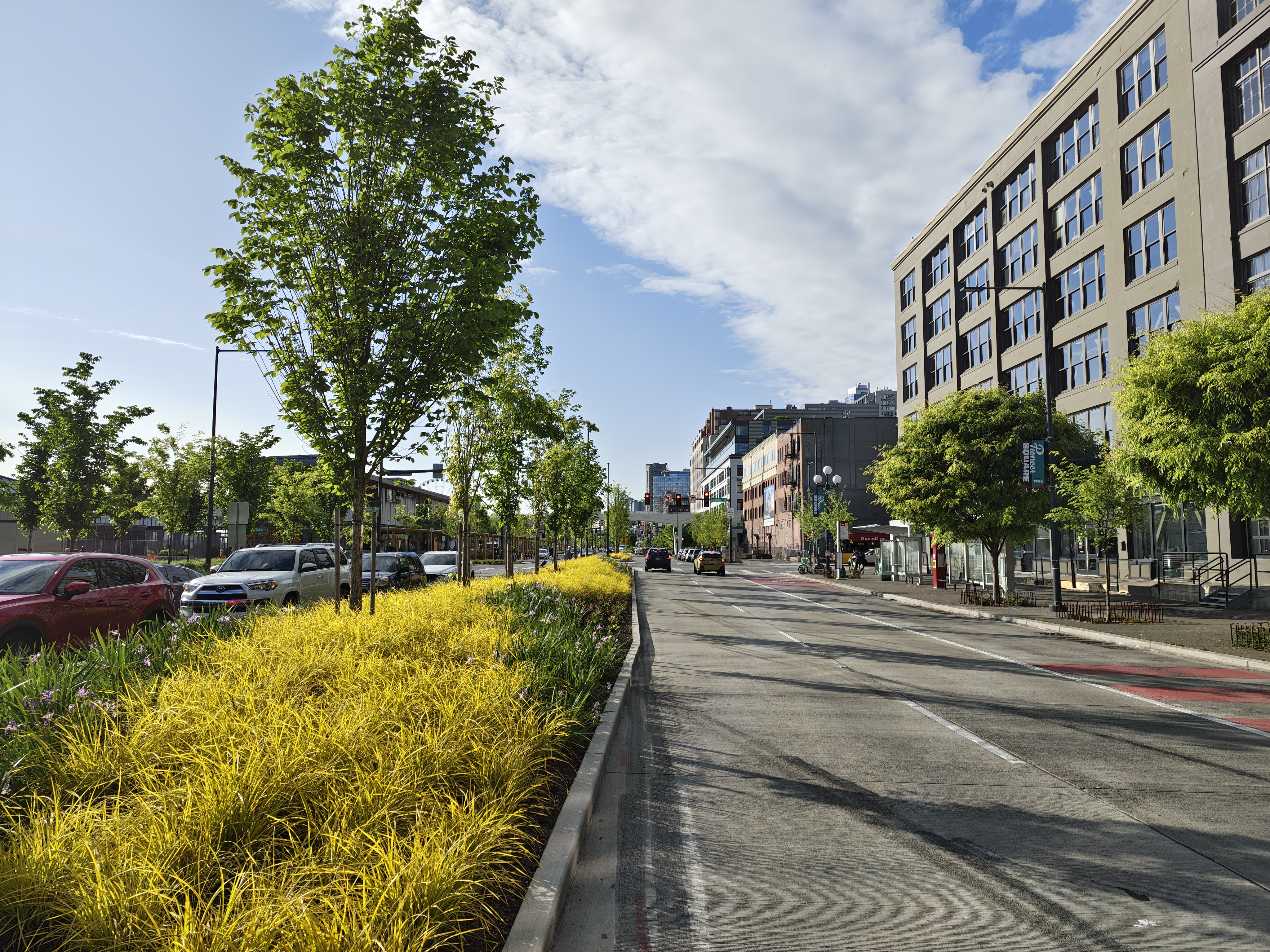 A road with buildings on one side and greenery on the other