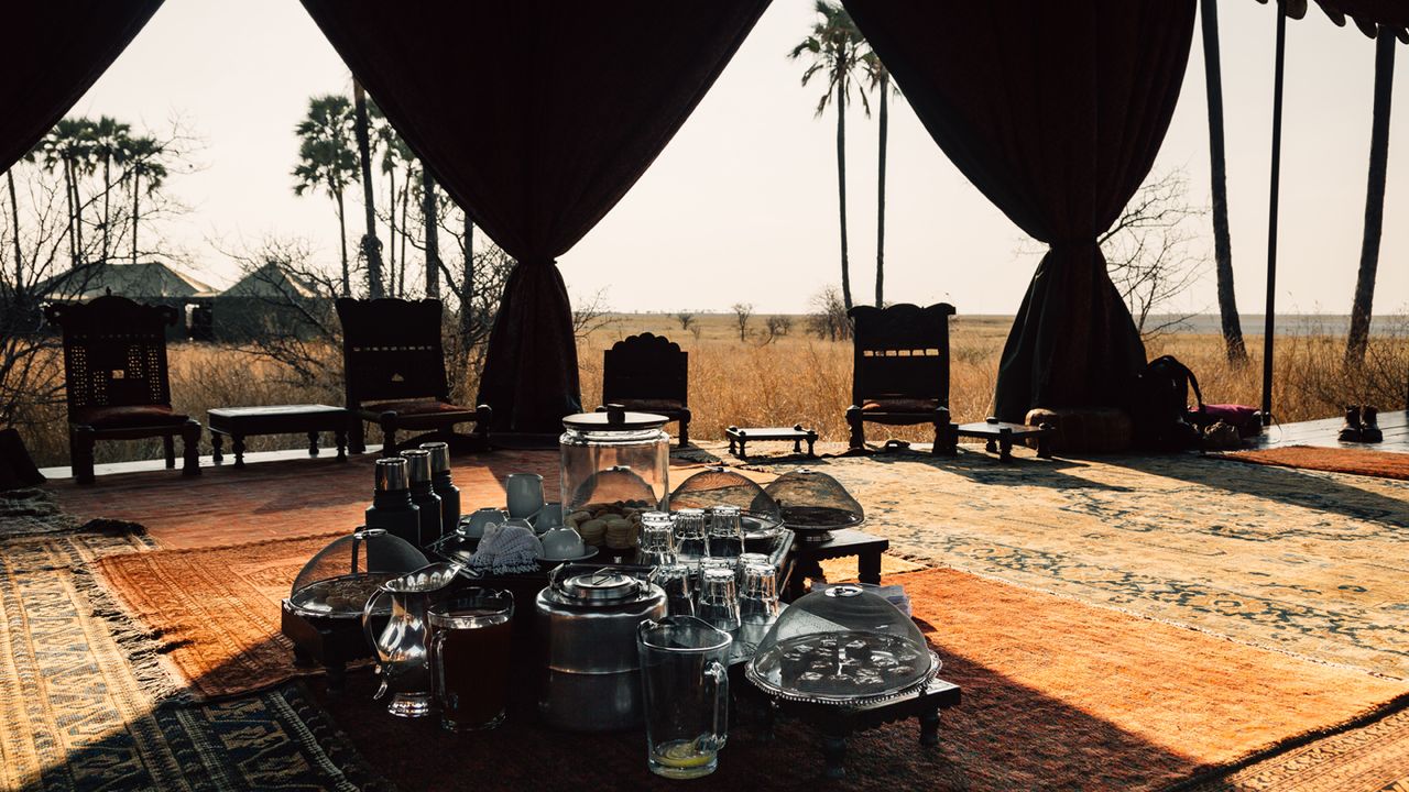 Jack's Camp, Botswana