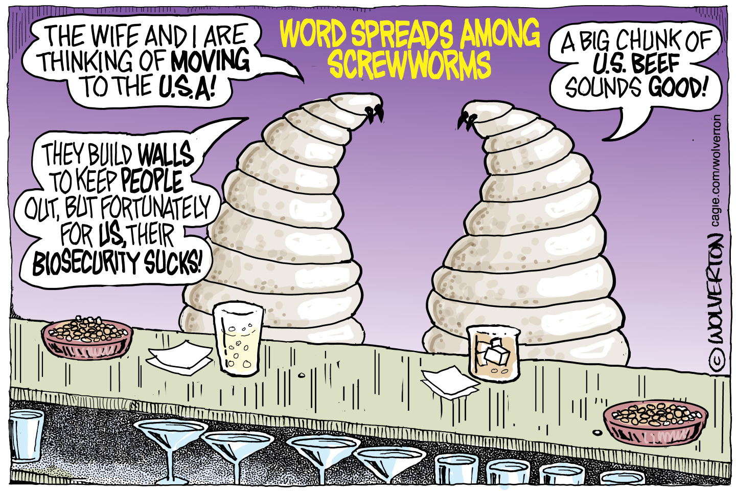 Two screwworms are speaking to each other at a bar in this cartoon, titled &amp;ldquo;Word Spreads Among Screwworms&amp;rdquo;. The screwworm on the left says, &amp;ldquo;The wife and I are thinking of moving to the U.S.A.! They build walls to keep people out, but fortunately for us, their biosecurity sucks!&amp;rdquo; The screwworm on the right says, &amp;ldquo;A big chunk of U.S. beef sounds good!&amp;rdquo;