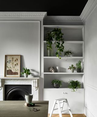 Monochrome room, white painted walls, black painted ceiling, alcove shelving decorated with plants, marble fireplace, white step, dark wood dining table